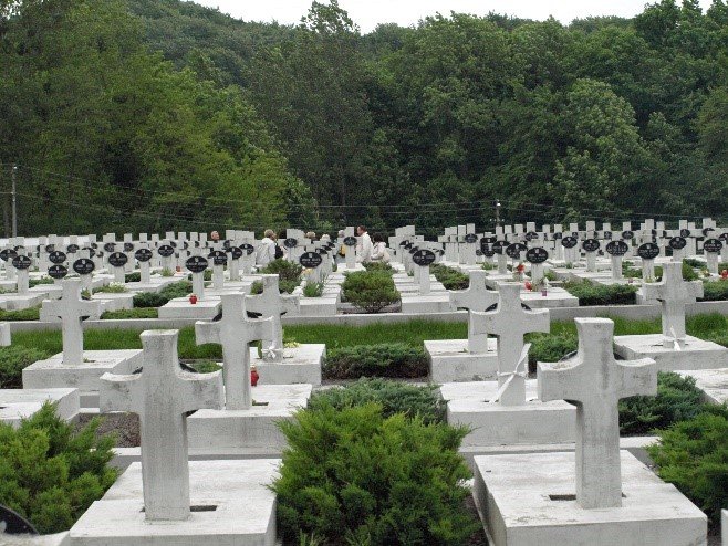 Lwów, 2008